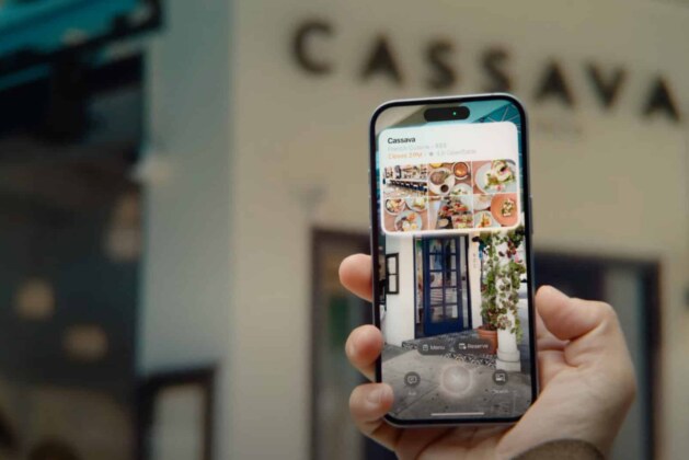 Apple Visual Intelligence – search using your iPhone camera